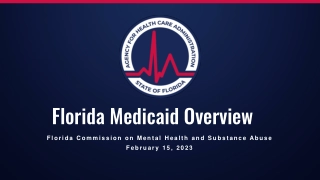 Florida Medicaid Overview
