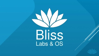 Empowering Open Source Development at Bliss Labs & OS