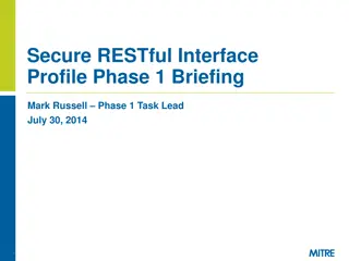 Secure RESTful Interface  Profile Phase 1 Briefing