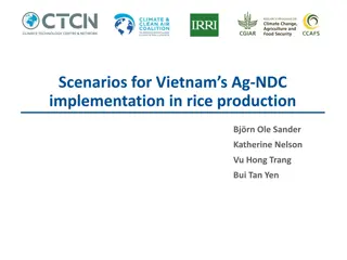 Scenarios for Vietnam's Ag-NDC Implementation in Rice Production