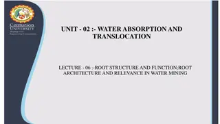 UNIT - 02: - WATER ABSORPTION AND TRANSLOCATION