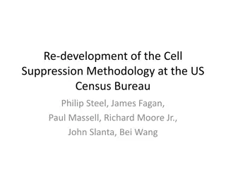 Re-Development of Cell Suppression Methodology at US Census Bureau