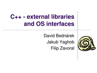 C++ - external libraries and OS interfaces