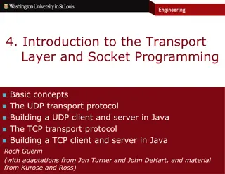Introduction to the Transport Layer and Socket Programming