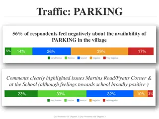 Village Transportation and Infrastructure Survey Insights