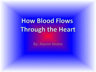 How Blood Flows Through the Heart - A Visual Guide