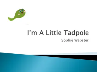Journey of a Tadpole: Growing Towards Transformation