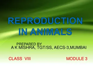 Reproduction in Animals: Viviparous and Oviparous Species