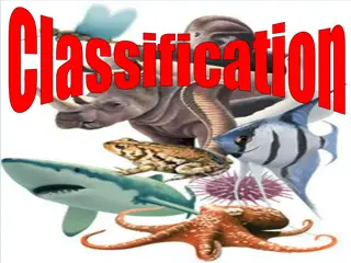 Animal Classification and Characteristics