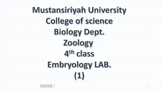 Embryology: Study of Prenatal Development and Fertilization