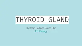 THYROID GLAND