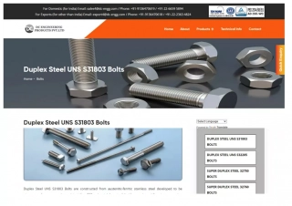 Duplex Steel UNS S31803 Bolts