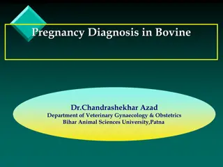 Early Pregnancy Diagnosis in Bovine: Methods and Examination