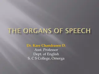 Organs of Speech and Their Functions