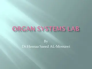 Overview of Human Anatomy and Physiology