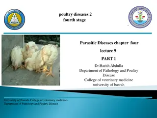 Avian Trichomoniasis: Symptoms, Transmission, and Treatment