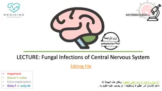 Fungal Infections of Central Nervous System: Clinical Features and Etiology