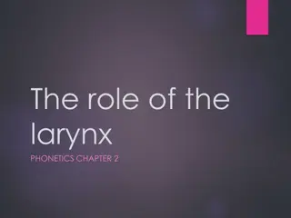 The role of the