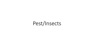 Exploring Various Pest Insects and Their Adult Stages