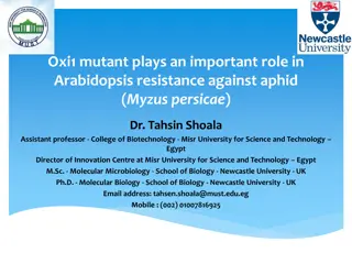Oxi1 Mutant Plays Vital Role in Arabidopsis Aphid Resistance