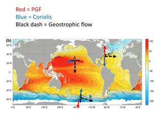 Geostrophic Flow Calculation and Visual Analysis