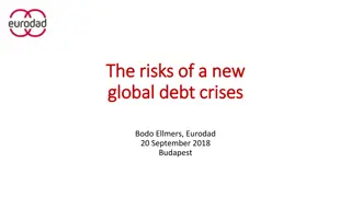 Global Debt Crises: Risks and Causes