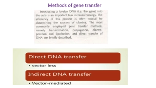 Overview of Gene Transfer Methods in Molecular Biology