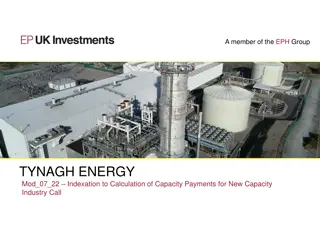 Indexation for New Capacity Projects in Energy Industry