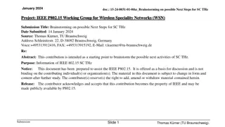 Brainstorming on Next Steps for SC THz Project: IEEE P802.15 Working Group