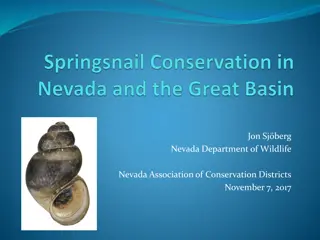 Springsnails Conservation Needs in Nevada