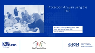 Protection Analysis using the PAF