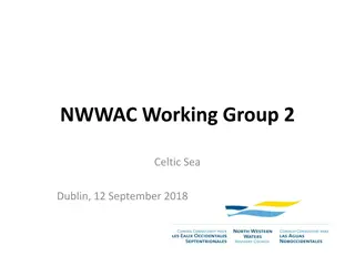 NWWAC Working Group 2 Action Plan
