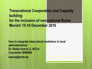 Transnational Cooperation and Capacity Building for Inclusion of Non-National Roma