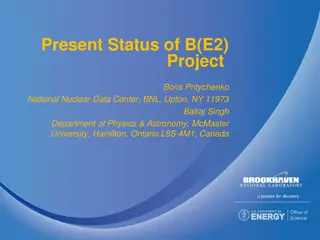 Present Status of B(E2) Project at BNL/McMaster University Group