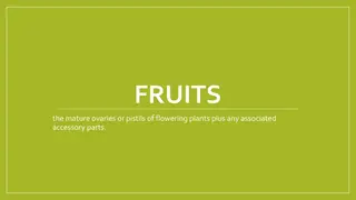 Parts of Fruits and Seeds
