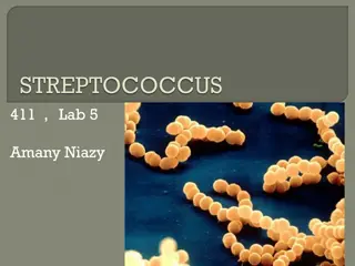 Characteristics of Gram-Positive Cocci and Fastidious Organisms
