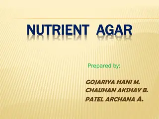 NUTRIENT AGAR