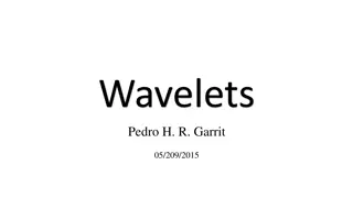 Wavelets