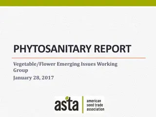 PHYTOSANITARY REPORT