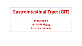 Gastrointestinal Tract (GIT)