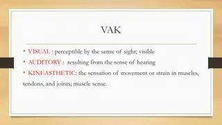 Sensory Preferences in Learning Styles