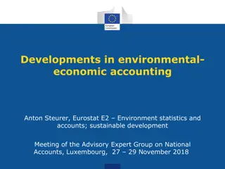 Developments in Environmental-Economic Accounting