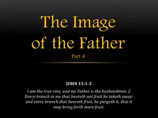 The Image of the Father Part 4 - John 15:1-2