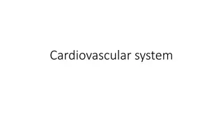 The Cardiovascular System: Anatomy and Disorders