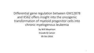 Insights into Oncogenic Transformation of Myeloid Cells