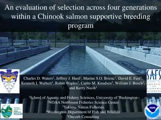 Selection Across Four Generations in Chinook Salmon Breeding Program