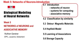 Networks of Neurons and Associative Memory: Biological Modeling and Systems for Computing
