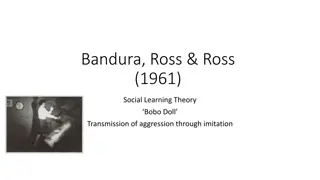 Social Learning Theory - Bobo Doll Experiment