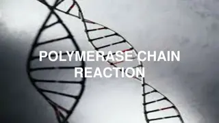 Polymerase Chain Reaction (PCR) Overview