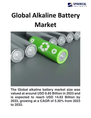 Global Alkaline Battery Market